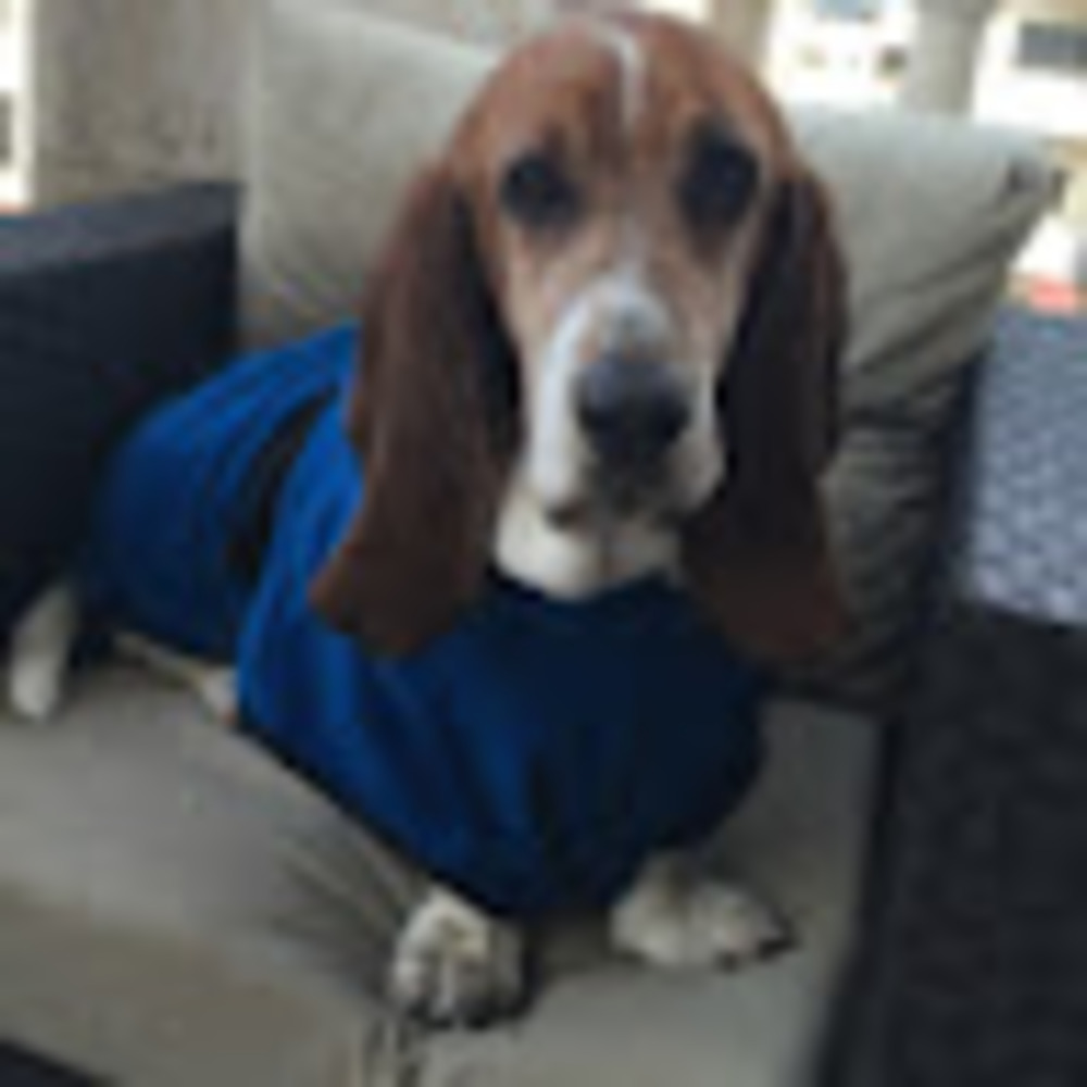 Meet your Posher, Iisha